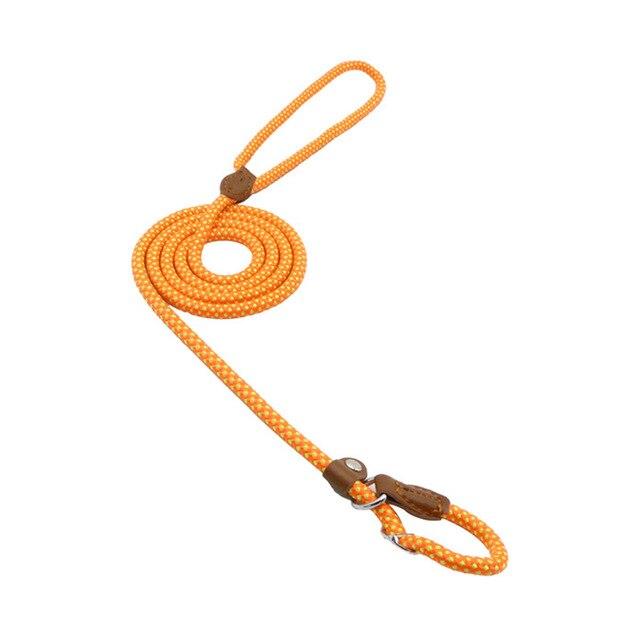Conjunto de collar y correa de nailon para perros