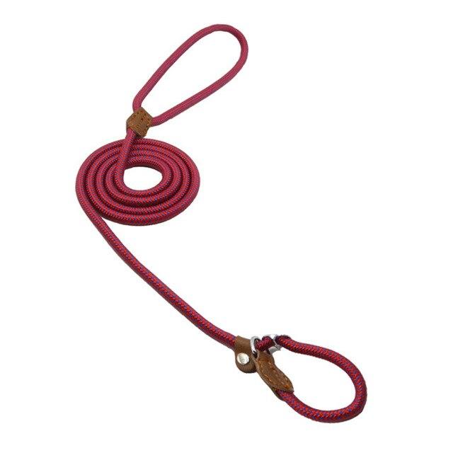 Conjunto de collar y correa de nailon para perros