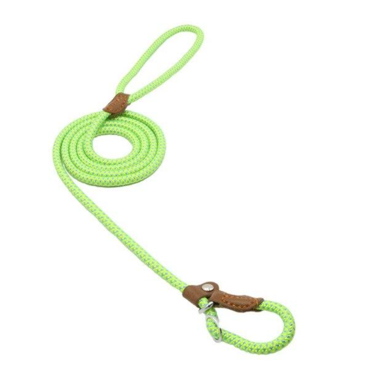 Conjunto de collar y correa de nailon para perros
