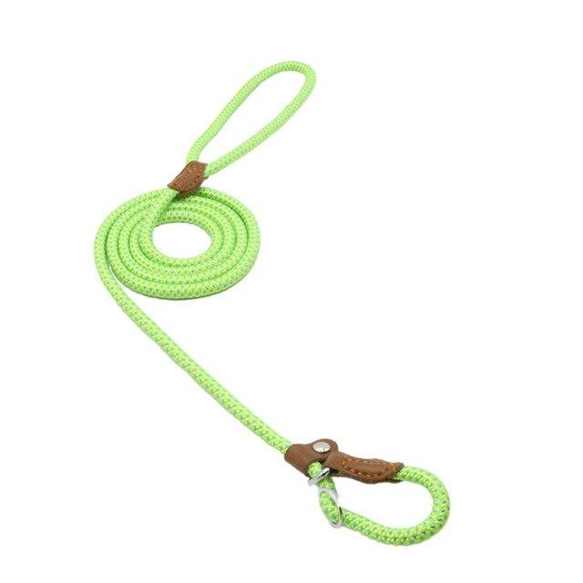 Conjunto de collar y correa de nailon para perros
