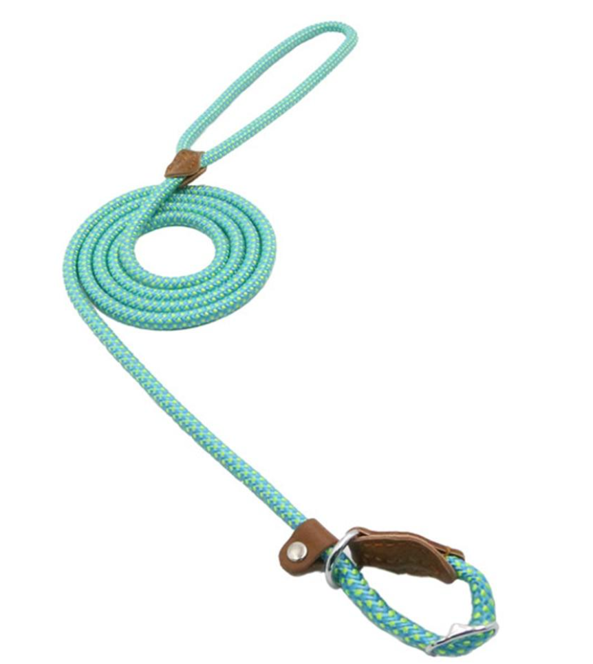 Conjunto de collar y correa de nailon para perros