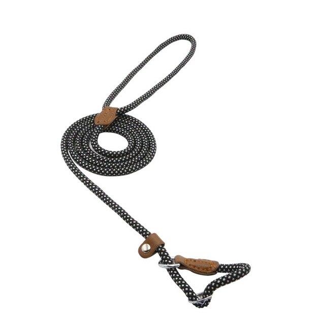 Conjunto de collar y correa de nailon para perros