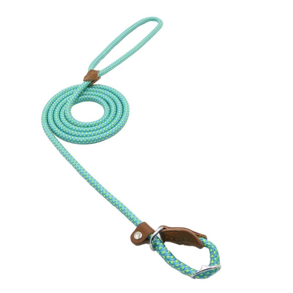 Conjunto de collar y correa de nailon para perros