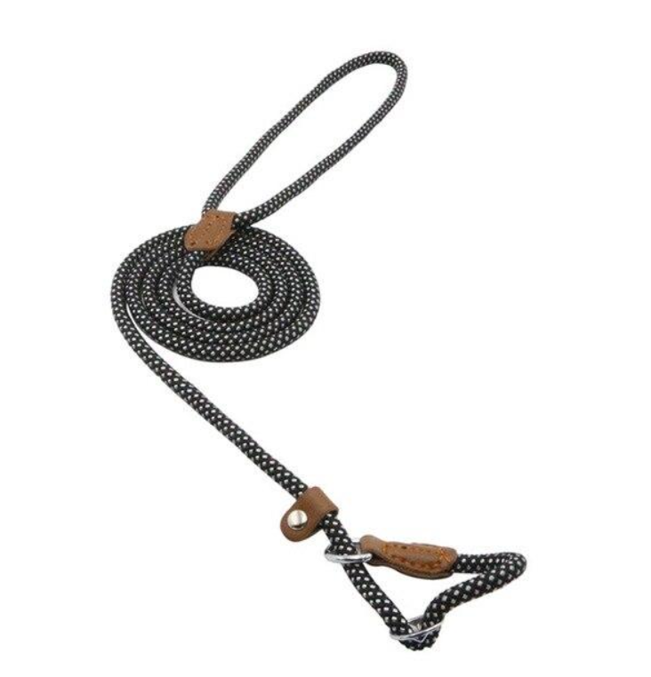 Conjunto de collar y correa de nailon para perros