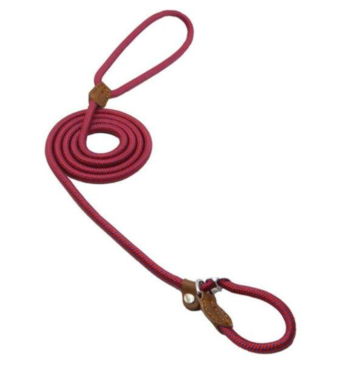 Conjunto de collar y correa de nailon para perros