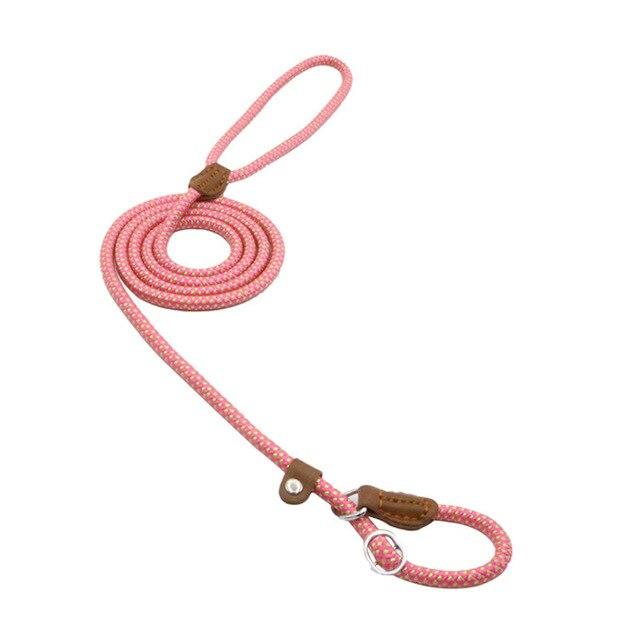 Conjunto de collar y correa de nailon para perros