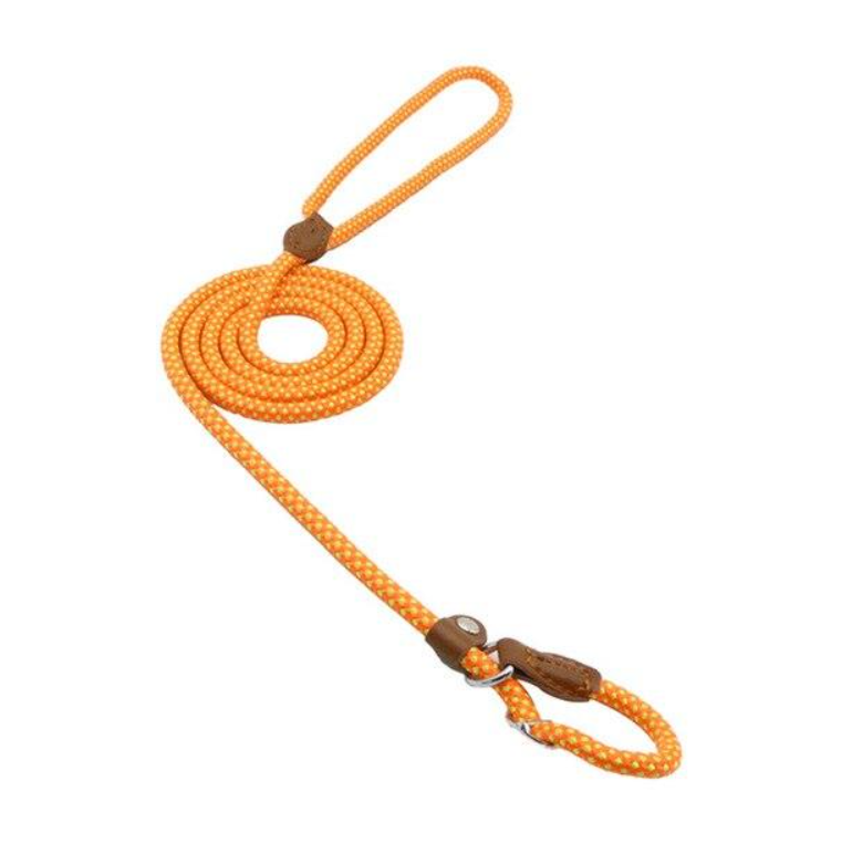 Conjunto de collar y correa de nailon para perros