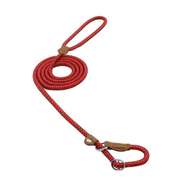 Conjunto de collar y correa de nailon para perros